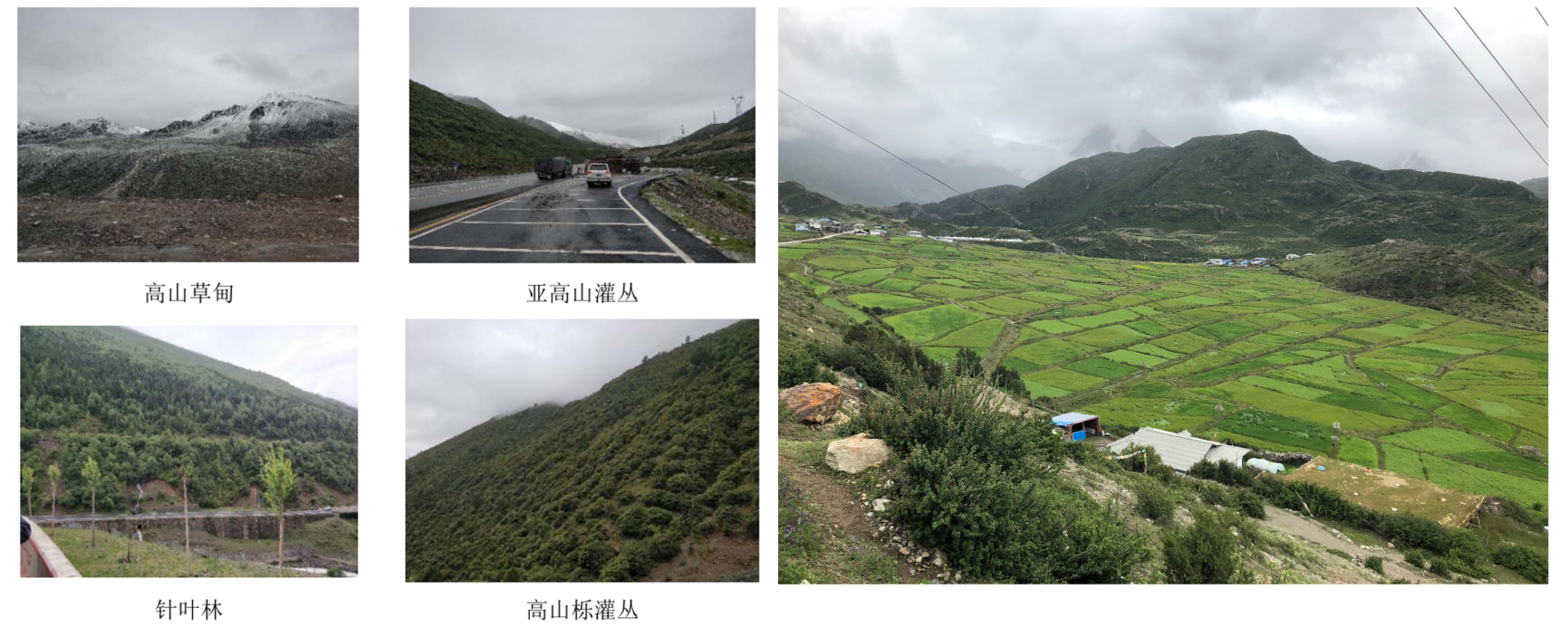 BWIN亚洲