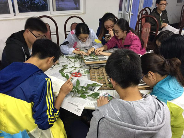 BWIN亚洲